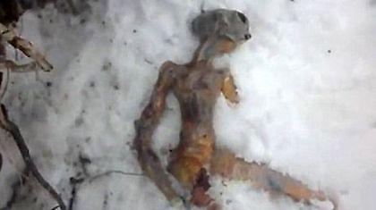 Βρέθηκε πτώμα εξωγήινου στη Σιβηρία(vid)