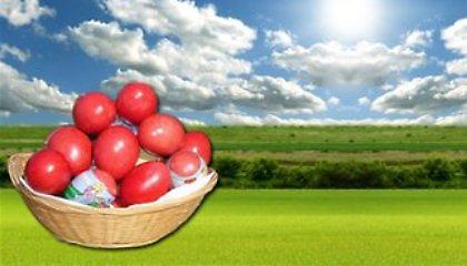 Με ηλιοφάνεια το σούβλισμα του οβελία