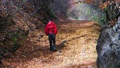 Τρίτωσε το κακό με τους πεζοπόρους