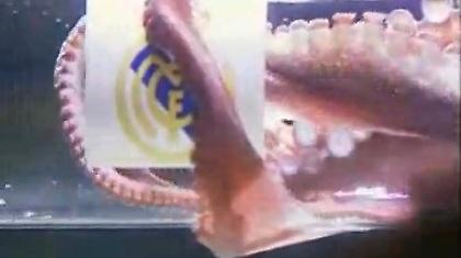 Το χταπόδι «μίλησε» και έδειξε Ρεάλ Μ. (video)