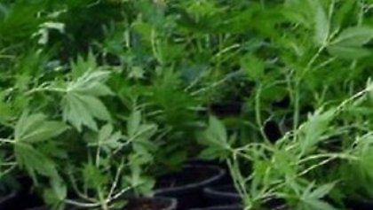 Διπλό αλισβερίσι ναρκωτικών στην Κοζάνη