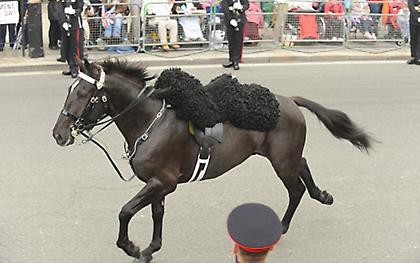 Κι όμως… ένας καλεσμένος δεν ήθελε να πάει