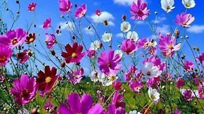 Συννεφιασμένη ...Πρωτομαγιά!