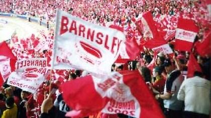 Προετοιμασία σε καμπ με... μποξέρ