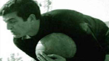 Η ανέπαφη πράσινη φωλιά του πουλιού