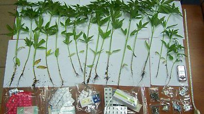 Σε ισόβια κάθειρξη για διακίνηση ναρκωτικών 44 άτομα