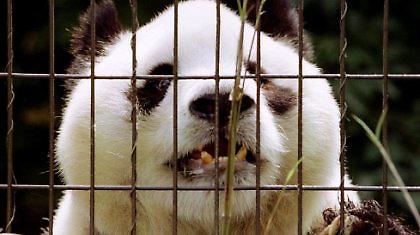 Πέθανε το γηραιότερο πάντα στον κόσμο