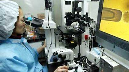 Mητέρα με το σπέρμα του νεκρού συζύγου της