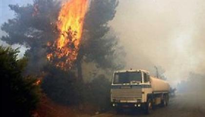 Πυρκαγιά στο Στρέφι Αρχαίας Ολυμπίας