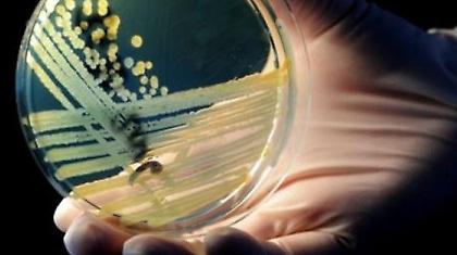 Στους 19 οι νεκροί από το βακτήριο E.coli