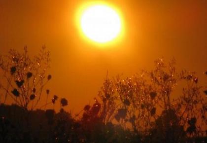 Έρχονται… μόνιμοι καύσωνες