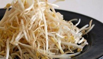 Οι φύτρες λαχανικών πίσω από την επιδημία E.coli