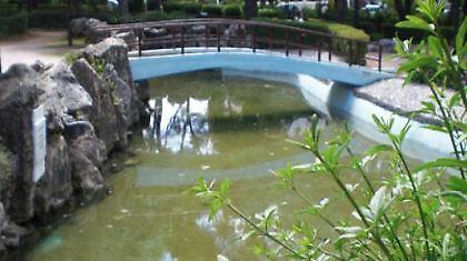 Σκέφτηκα να μην ξαναβγώ ώσπου να αλλάξει ο κόσμος