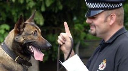 Απολύθηκε αστυνομικός  σκύλος!