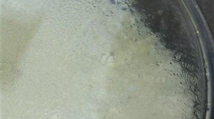 Έφτιαξαν φούρνο που ψήνει με τη βοήθεια του... ήλιου!