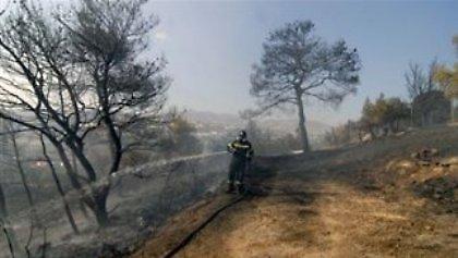 Σε ύφεση οι πυρκαγιές σε Πήλιο και Ύδρα