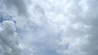 Πρόγνωση καιρού Παρασκευής, 1η Ιουλίου 2011