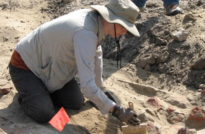 Τάφος σκύλου, ηλικίας 8.000 ετών!