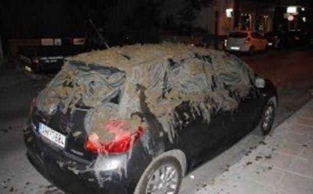 Γέμισαν με κοπριά αμάξι βουλευτή!
