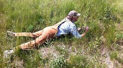 Γρήγορος σαν γαλοπούλα, έξυπνος σαν αγριογούρουνο!