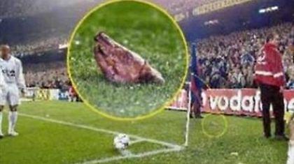 Η μέρα της μεγάλης προδοσίας (video)