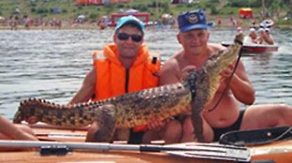 Και μετά… ξέφυγε ο κροκόδειλος!