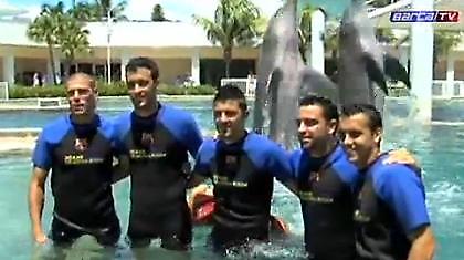 Παρέα με τα δελφίνια οι «μπλαουγκράνα» (video)