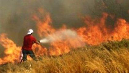 Τρεις πυρκαγιές σε μία μέρα στην Εύβοια