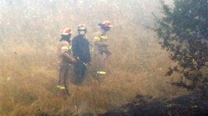 Υπό μερικό έλεγχο η φωτιά στη Λακωνία