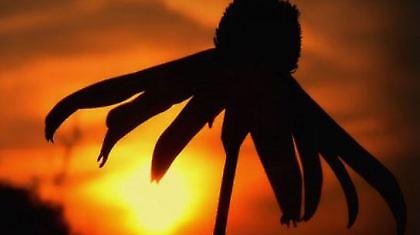 La mama morta, Τάκη. Βγάλτα πέρα μόνος σου!