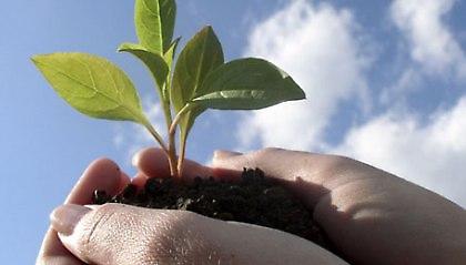 Ας ενηλικιωθούμε (Μέρος 2ο)