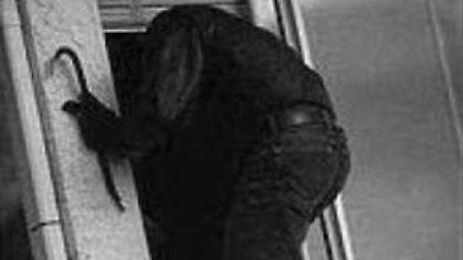 Ανήλικοι έκαναν κλοπές με το αυτοκίνητο της… μαμάς!