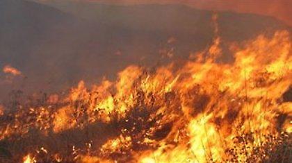 Βάλθηκαν να κάψουν την Κέρκυρα!