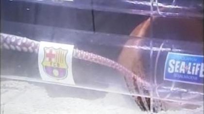 Ήρθε η ώρα να το φάμε…