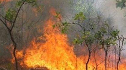 Υπό έλεγχο η πυρκαγιά στο Σοφικό Κορινθίας