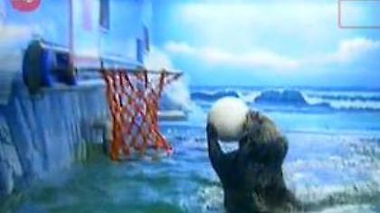 Η ενυδρίδα που παίζει μπάσκετ (video)