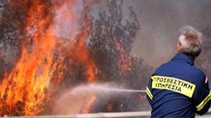 Πυρκαγιά στη Μεγαλόπολη Αρκαδίας