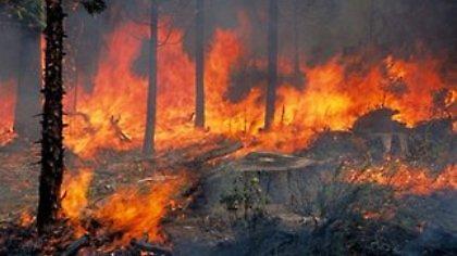 Σε εξέλιξη πύρινα μέτωπα