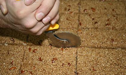 Παστέλι γίγας!