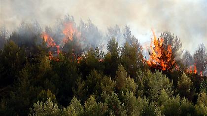 Πυρκαγιά στη Βραυρώνα Αττικής