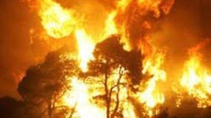 Σε κατάσταση έκτακτης ανάγκης δύο περιοχές στο Μεσολόγγι