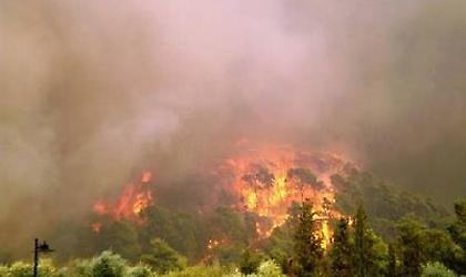 Μποφόρ εμπρηστές!