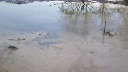 Μόλυναν το περιβάλλον με λυματολάσπη