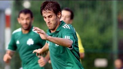 Αρνητικοί Μελίσσης, Λεοντίου