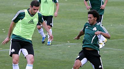 Οι… τέσσερις της πολυμετοχικότητας