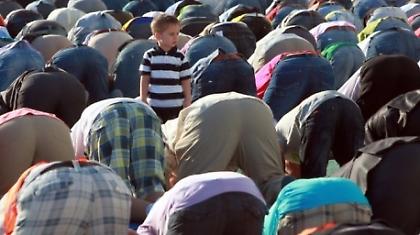 Μπουλντόζες στο Βοτανικό!