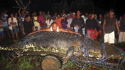 Ουουου… το κακόμοιρο, το κροκοδειλάκι!!!(video)