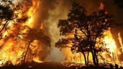 Πύρινος εφιάλτης στο Τέξας