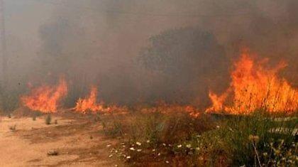 Υπό μερικό έλεγχο η φωτιά στον Αλμυρό Βόλου