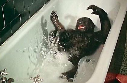 Μην αφήνετε τον γορίλα στο… μπάνιο! (video)